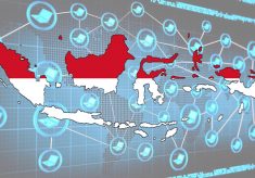Target Pemerintah, 2019 Seluruh Indonesia Terjangkau Internet